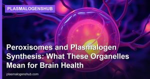 Peroxisomes and Plasmalogen Synthesis: What These Organelles Mean for Brain Health
