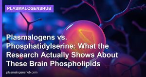 Plasmalogens vs. Phosphatidylserine: What the Research Actually Shows About These Brain Phospholipids