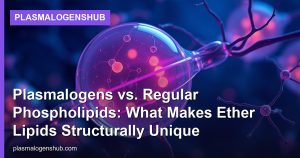 Plasmalogens vs. Regular Phospholipids: What Makes Ether Lipids Structurally Unique