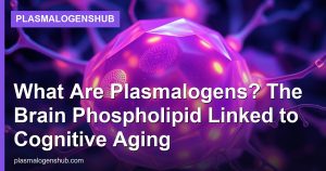 What Are Plasmalogens? The Brain Phospholipid Linked to Cognitive Aging